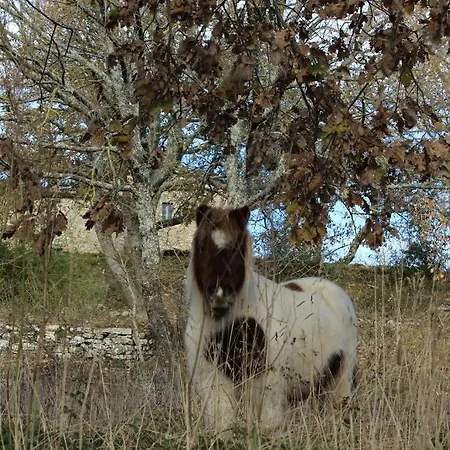 Agriturismo Poggio Ai Legni Farm stay